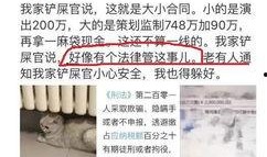 独家爆料逃税案例最新版,最新逃税案例曝光，涉案金额令人咋舌！